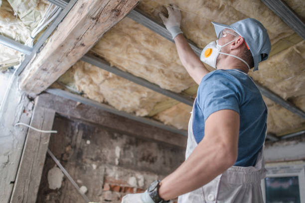 Best Cellulose Insulation in Treasure Lake, PA