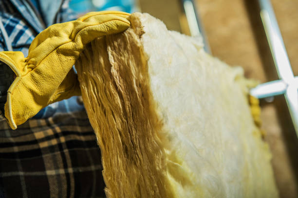 Best Eco-Friendly Insulation in Treasure Lake, PA