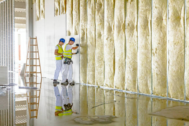 Best Blown-in Insulation in Treasure Lake, PA